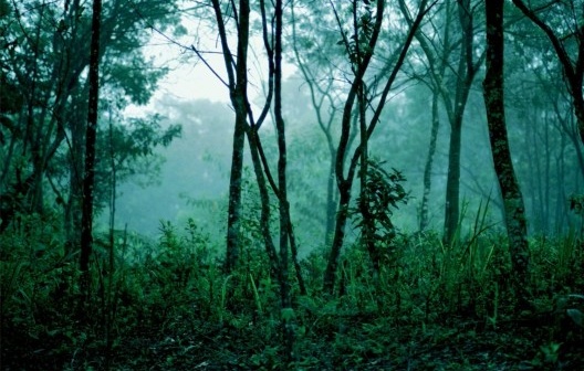 <br />Foto Boris Kossoy 