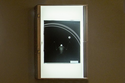 Negatoscópio com lâmina de raio X com esqueleto de morcego, arames e arruela, peça da exposição “Melancolia 3”, de Marco do Valle<br />Foto divulgação 