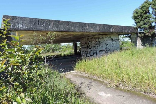 Parque Natural do Pedroso, atual situação, Santo André SP<br />Foto Arthur Ribeiro Molinari 