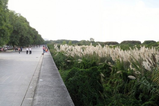 Parque Ecológico Costanera Sur, Buenos Aires<br />Foto Cecilia Herzog 
