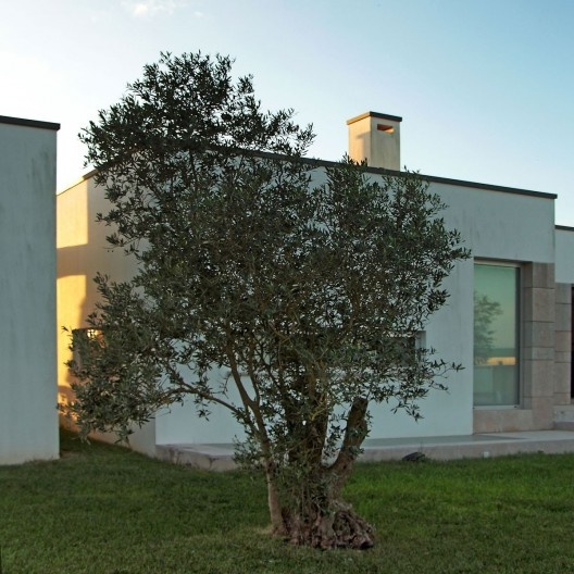 Casa na Cruz de Oliveira