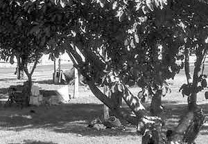 Moradores de rua no Parque D. Pedro, centro de São Paulo<br />Foto Nelson Kon 