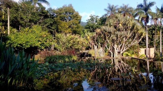 Jardins da Fazenda Vargem Grande. Paisagistas Roberto Burle Marx, Haruyoshi Ono e José Tabacow<br />Foto Guilherme Mazza Dourado, 2016 