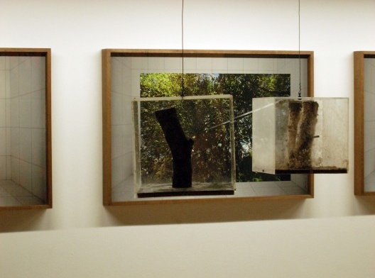 Enxertos, instalação artística de Carlos Teixeira, Fernando Maculan e Leonardo Costa Braga<br />Foto divulgação 