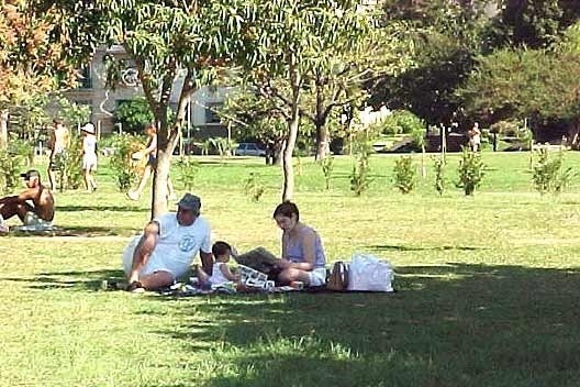 Familia na Grama, Parque do Flamengo, Rio de Janeiro: som do vento.<br />Foto P A Rheingantz 