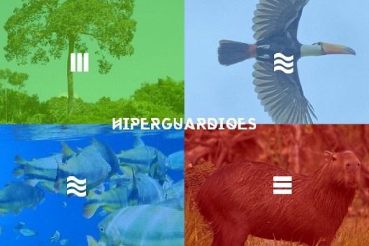 Projeto Hiperguardiões: apropriação crítica das tecnologias para o manejo colaborativo<br />Imagem divulgação  [neblinalab.net]
