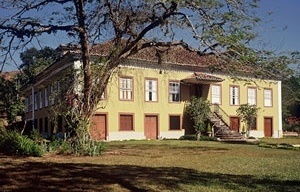 Fazenda de café<br />Foto Nelson Kon 