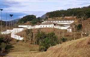 Fazenda de café<br />Foto Nelson Kon 