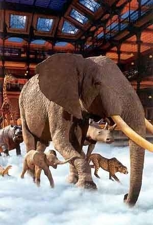 Grande Galeria da Evolução, Paris [folder da instituição]