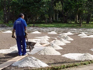 Fig. 8: Trabalhos de manutenção do Jardim Botânico<br />Foto Ana Rosa de Oliveira 
