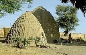 Figura 16 – Camerún. Viviendas cápsulares [www.biologie.unihamburg.de]