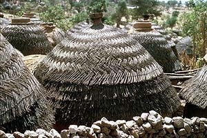 Figura 17 – Camerún. Techos tejidos de palma [http://webcat.library.wisc.edu]