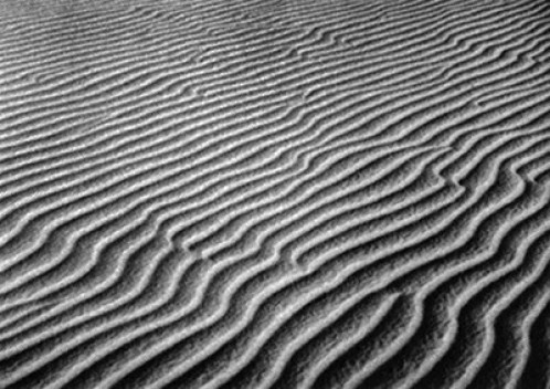 Texturas deixadas nas dunas pelo vento, Prainha CE<br />Foto divulgação 
