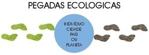 Pegada ecológica