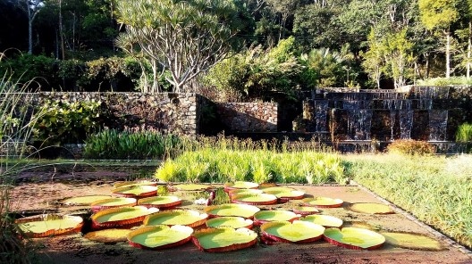 Jardins da Fazenda Vargem Grande. Paisagistas Roberto Burle Marx, Haruyoshi Ono e José Tabacow
<br />Foto Guilherme Mazza Dourado, 2016 