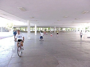 <br />Foto Igor Guatelli 