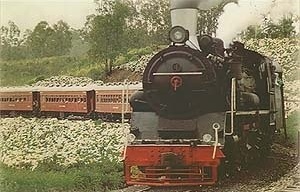 rem Maria Fumaça, que integra o Projeto de Resgate da Memória Viva de Bento Gonçalves, na Serra Gaúcha, que busca recuperar o patrimônio físico do antigo sistema ferroviário brasileiro, bem como do patrimônio imaterial que envolve o caráter lúdico da memó<br />Foto Vicente Silveira  [Cartões postais Prefeitura Municipal de Bento Gonçalves]