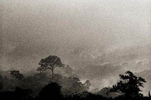 Imagem de Cubatão<br />Ensaio fotográfico de Nelson Kon 