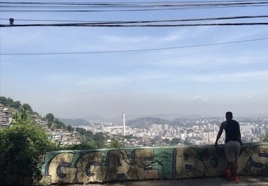 Vista da Almirante Alexandrino<br />Foto Luiz Felipe da Cunha e Silva 