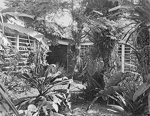 Residência do Arquiteto, 1944. Pátio [Acervo Digital Rino Levi FAU PUC-Campinas]