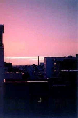 Vista de Porto Alegre<br />Foto Marina Bay Frydberg 