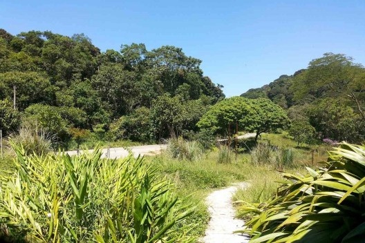 Parque Natural do Pedroso, atual situação, Santo André SP<br />Foto Arthur Ribeiro Molinari 