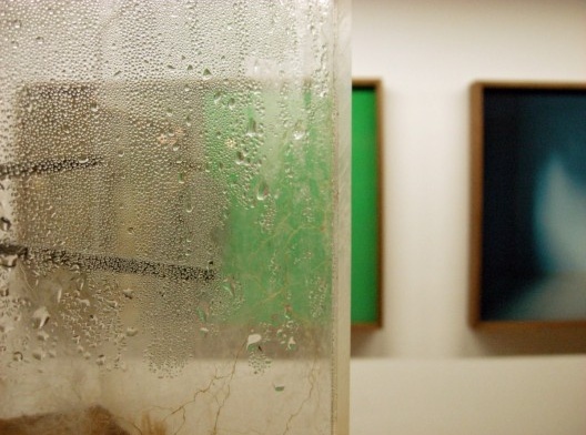 Enxertos, instalação artística de Carlos Teixeira, Fernando Maculan e Leonardo Costa Braga<br />Foto divulgação 