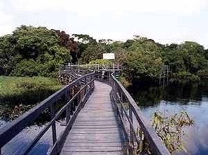Ariaú Amazon Towers  [Fotos de divulgação]