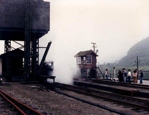 O locobreque em funcionamento<br />Foto Adauto Gonçalves Rodrigues 