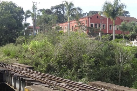 Frigorífico em ruínas na área central de Piratuba<br />Foto Matheus Rigon 
