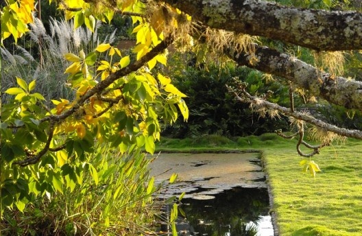 Fazenda Vargem Grande, Serra da Bocaina. Paisagismo de Roberto Burle Marx<br />Foto Luciana Leal 