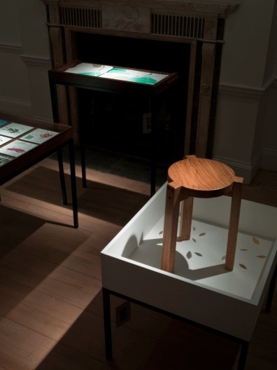 Exposição Lina and Gió: The Last Humanists<br />Foto Sue Barr  [dilvulgação]