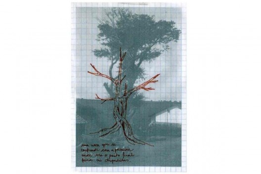 Bel Falleiros, Figueira das lágrimas, São Paulo, 2013, caneta nanquim sobre papel vegetal sobre foto<br />Divulgação 
