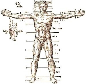Cânone de proporções de Vitruvius, Andrea Palladio, 1567