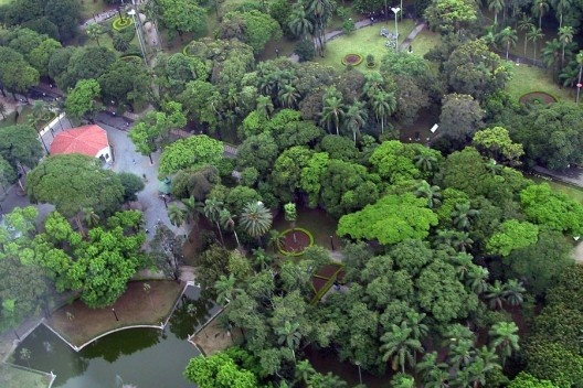 Parque Trianon, São Paulo<br />Foto Nelson Kon 