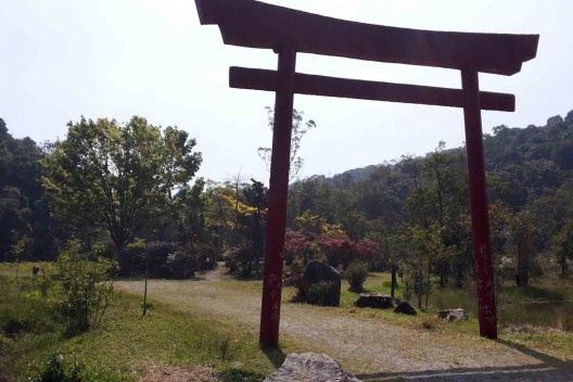 Parque Natural do Pedroso, atual situação, Santo André SP<br />Foto Arthur Ribeiro Molinari 