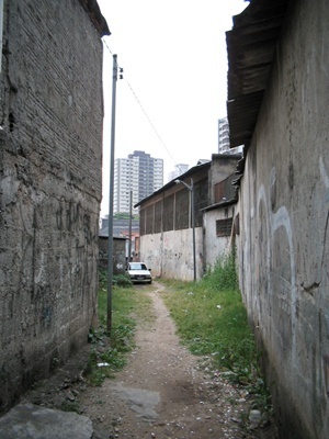 Sob o beco, um afluente do Água Preta<br />Foto Vladimir Bartalini 