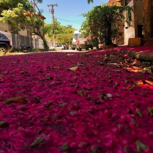 Foto de Barra do Pirahy<br />Coletivo Barra do Pirahy no Instagram  [@barradopirahy]