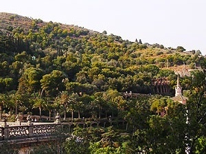 Fig. 18 - Vegetação atual do Park Güell. Notar a diferença de densidade vegetal entre o parque e a zona externa, na parte mais alta da encosta