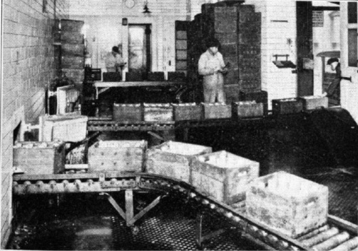 Processo de beneficiamento do leite: despacho do leite armazenado no frigorífico através de esteiras [SAVAGE, 1933]