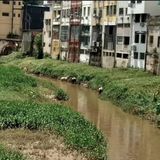 Foto de Barra do Pirahy<br />Coletivo Barra do Pirahy no Instagram  [@barradopirahy]