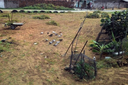 Limpeza em terreno na Comunidade Alto da Torre<br />Foto Simone Costa 