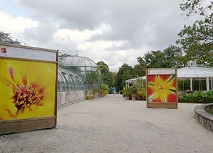 A estufa - aquário com o famoso nenúfar da Amazônia e a estufa onde se encontram as plantas carnívoras. Vendo-se ainda cartazes da exposição: “Couleurs, sources de bien-être” com fotos de Catherine Blanchard, que percorre todo o parque desde o início do v<br />Foto: Jovanka Baracuhy C. Scocuglia 