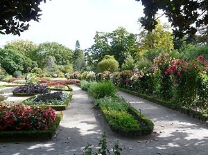As áreas floridas, os canteiros espalhados pelo parque que proporcionam perfume e coloridos diferenciados<br />Foto: Jovanka Baracuhy C. Scocuglia 
