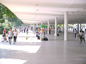 <br />Foto Igor Guatelli 