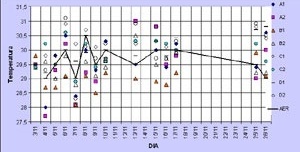 Gráfico 1: Comparação entre as temperaturas registradas em campo e no aeroporto local, pela manhã, com vento sudeste