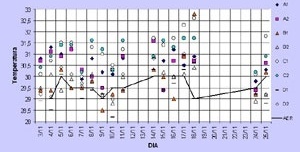 Gráfico 3: Comparação entre as temperaturas registradas em campo e no aeroporto local, à tarde, com vento sudeste