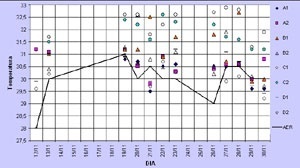Gráfico 4: Comparação entre as temperaturas registradas em campo e no aeroporto local, à tarde, com ventos leste e nordeste