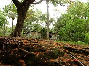 Comunidades rurales del sur del municipio de Masaya, Nicaragua