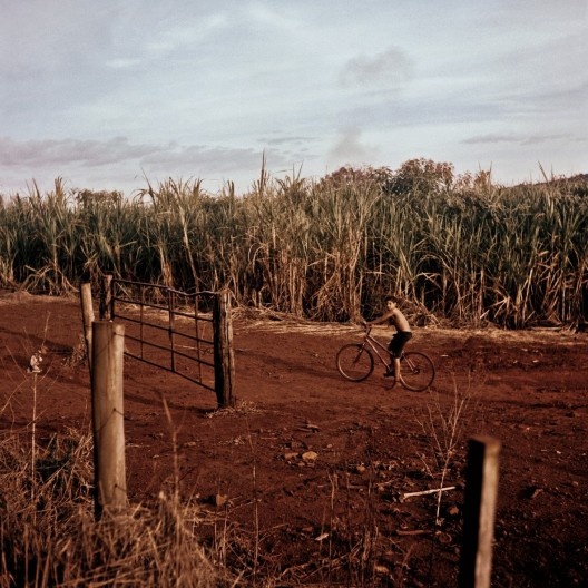 Fotografia do livro “Caminhando com Portinari”<br />Foto Alan Nielsen  [divulgação]